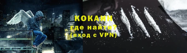 хмурый Белокуриха