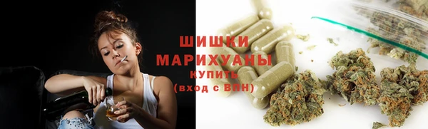 хмурый Белокуриха
