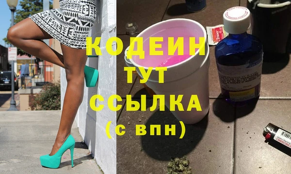 хмурый Белокуриха