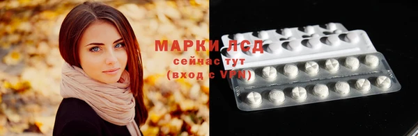 хмурый Белокуриха