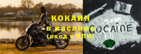 хмурый Белокуриха