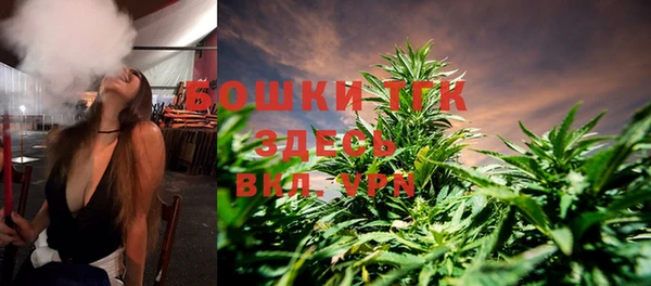 хмурый Белокуриха