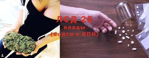 хмурый Белокуриха