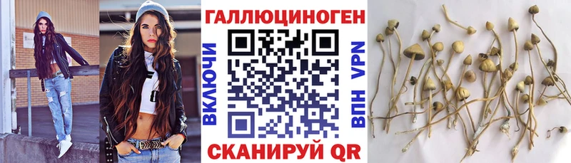 Галлюциногенные грибы GOLDEN TEACHER купить закладку Пионерский